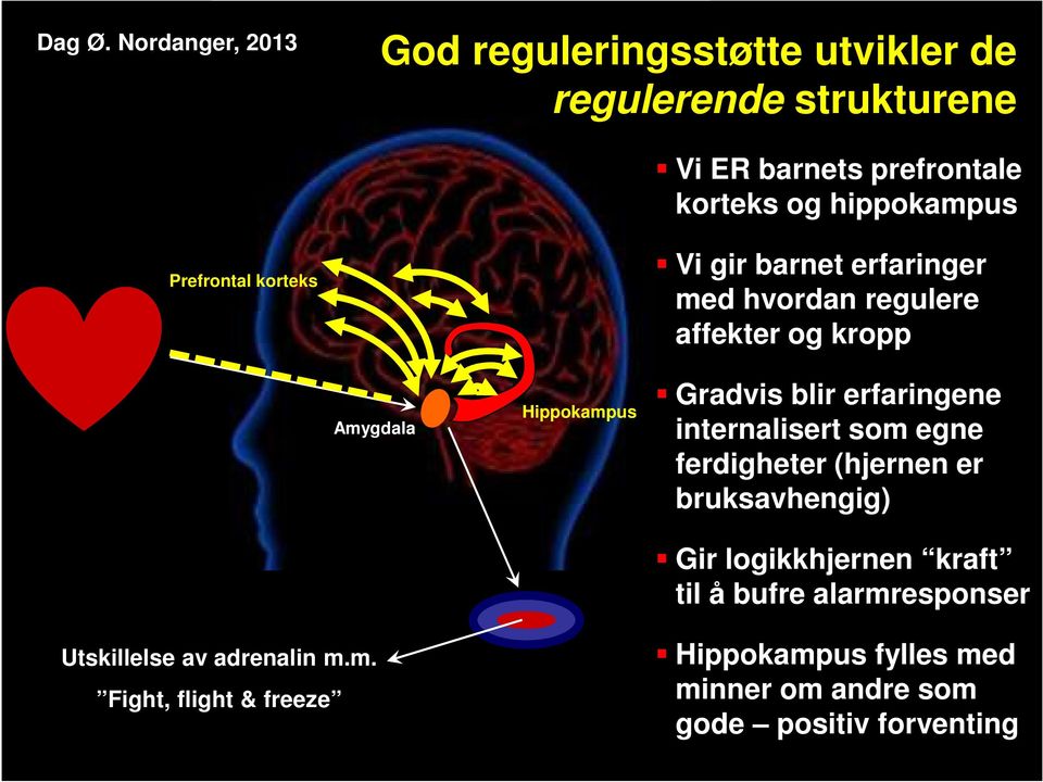 m.m. Fight, flight & freeze Hippokampus Gradvis blir erfaringene internalisert som egne ferdigheter (hjernen er