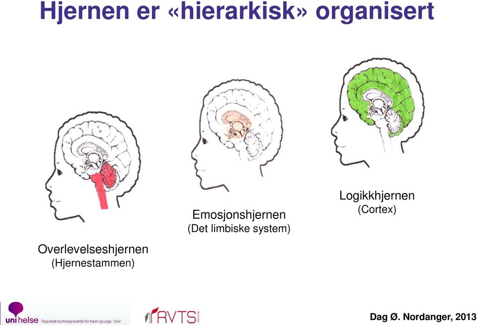 (Hjernestammen) Emosjonshjernen