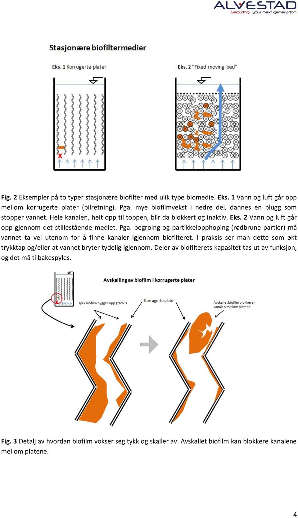 2 Vann og luft går opp gjennom det stillestående mediet. Pga. begroing og partikkelopphoping (rødbrune partier) må vannet ta vei utenom for å finne kanaler igjennom biofilteret.