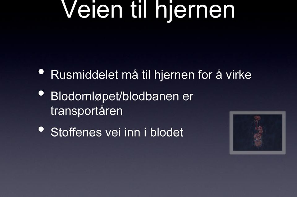 Blodomløpet/blodbanen er