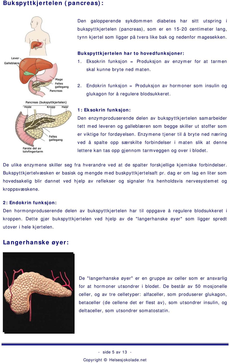 Endokrin funksjon = Produksjon av hormoner som insulin og glukagon for å regulere blodsukkeret.