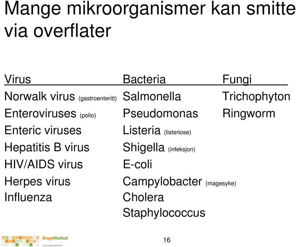 Enteric viruses Listeria (listeriose) Hepatitis B virus Shigella (infeksjon)
