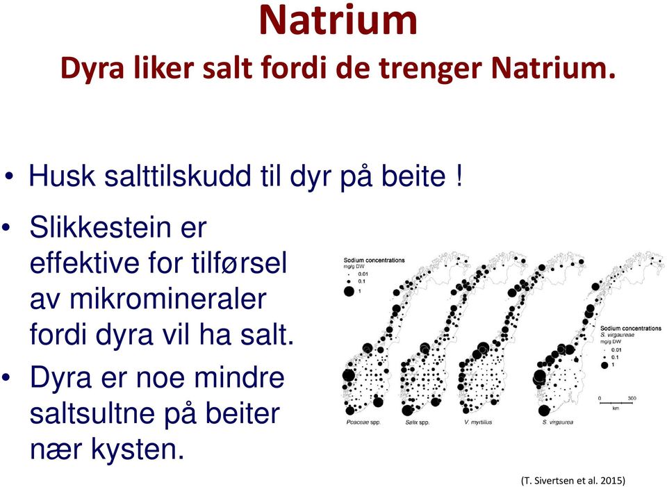 Slikkestein er effektive for tilførsel av mikromineraler