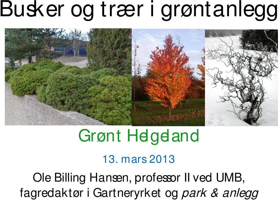 mars 2013 Ole Billing Hansen,