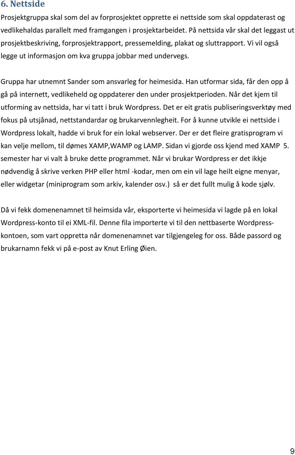 Gruppa har utnemnt Sander som ansvarleg for heimesida. Han utformar sida, får den opp å gå på internett, vedlikeheld og oppdaterer den under prosjektperioden.