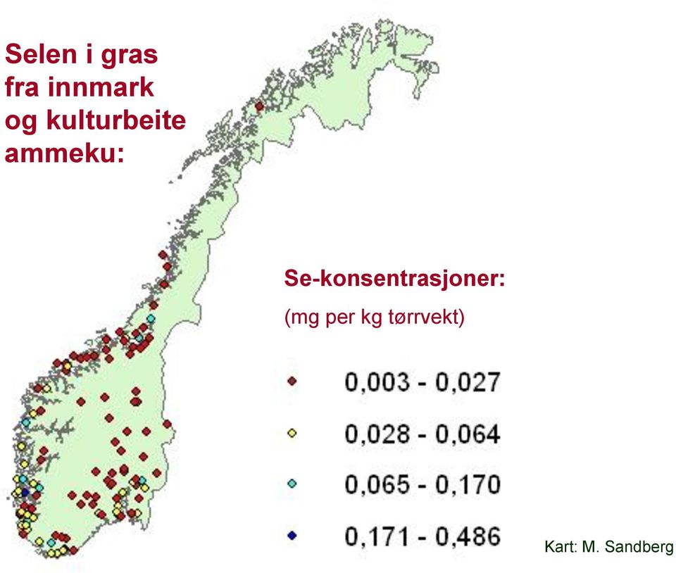 Se-konsentrasjoner: (mg