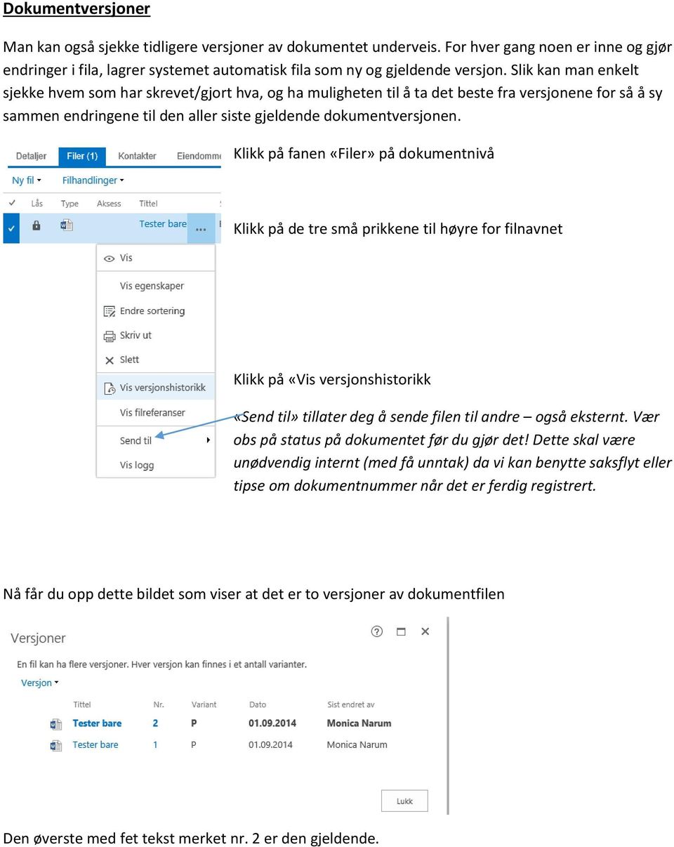 Klikk på fanen «Filer» på dokumentnivå Klikk på de tre små prikkene til høyre for filnavnet Klikk på «Vis versjonshistorikk «Send til» tillater deg å sende filen til andre også eksternt.