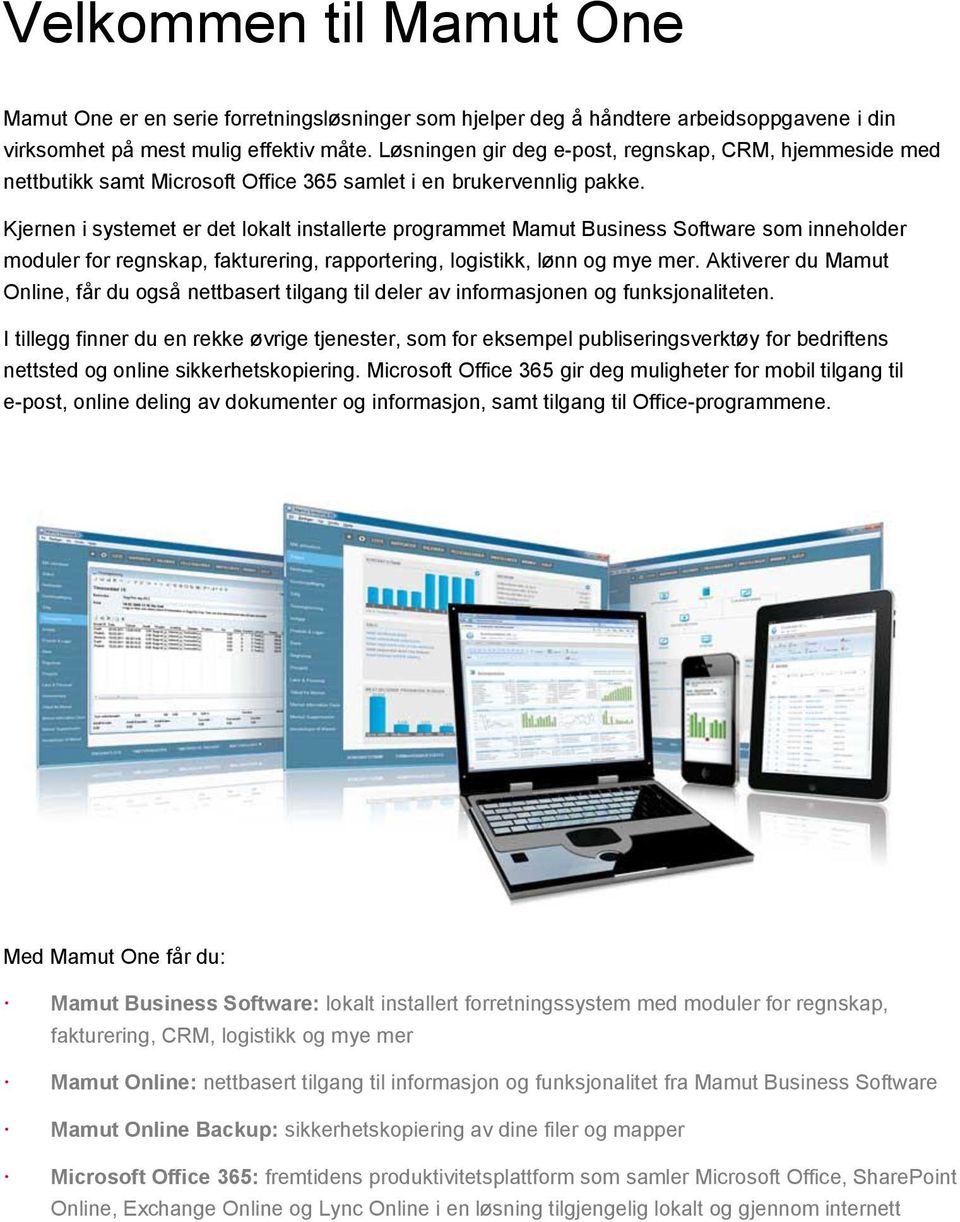 Kjernen i systemet er det lokalt installerte programmet Mamut Business Software som inneholder moduler for regnskap, fakturering, rapportering, logistikk, lønn og mye mer.