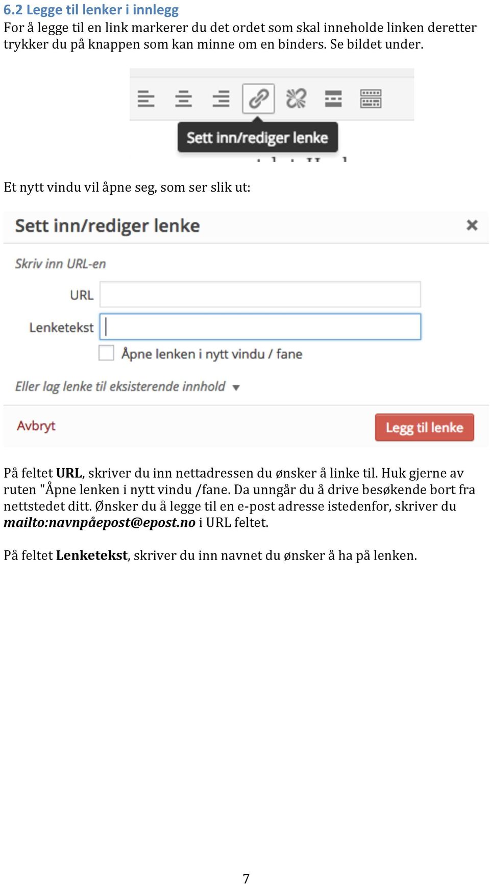 Et nytt vindu vil åpne seg, som ser slik ut: På feltet URL, skriver du inn nettadressen du ønsker å linke til.