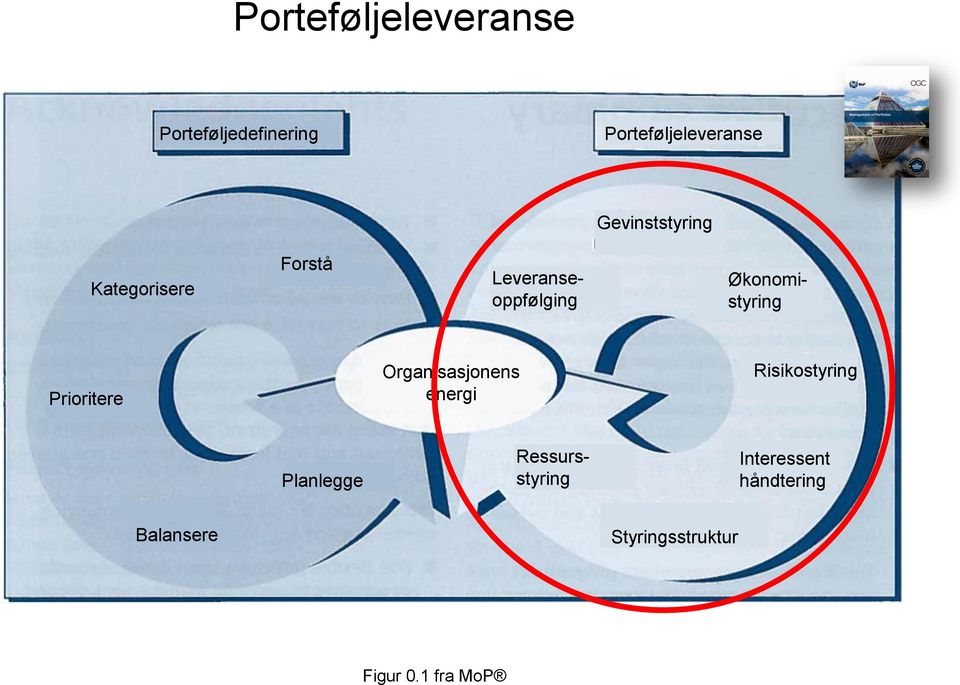 Økonomistyring Prioritere Organisasjonens energi Risikostyring