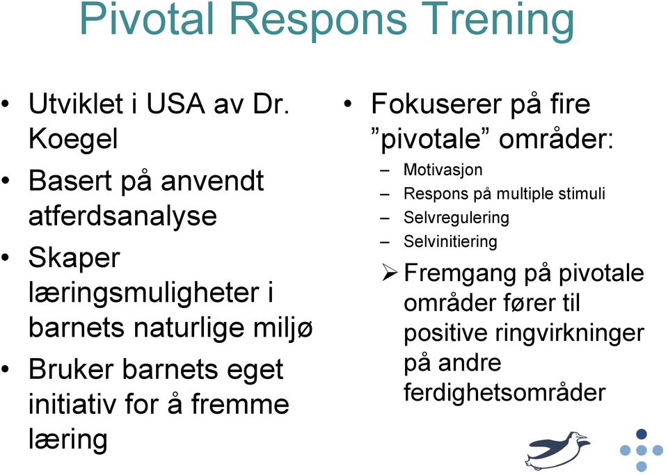 Bruker barnets eget initiativ for å fremme læring Fokuserer på fire pivotale områder: