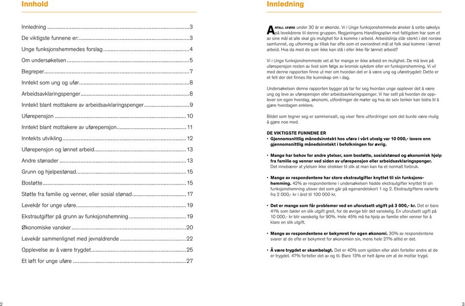 ..13 Grunn og hjelpestønad...15 Bostøtte...15 Støtte fra familie og venner, eller sosial stønad...17 Levekår for unge uføre...19 Ekstrautgifter på grunn av funksjonshemning...19 Økonomiske vansker.