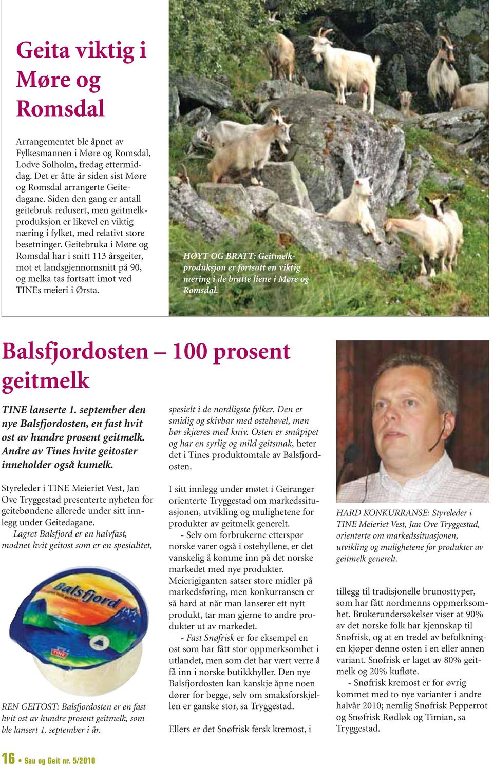 Geitebruka i Møre og Romsdal har i snitt 113 årsgeiter, mot et landsgjennomsnitt på 90, og melka tas fortsatt imot ved TINEs meieri i Ørsta.
