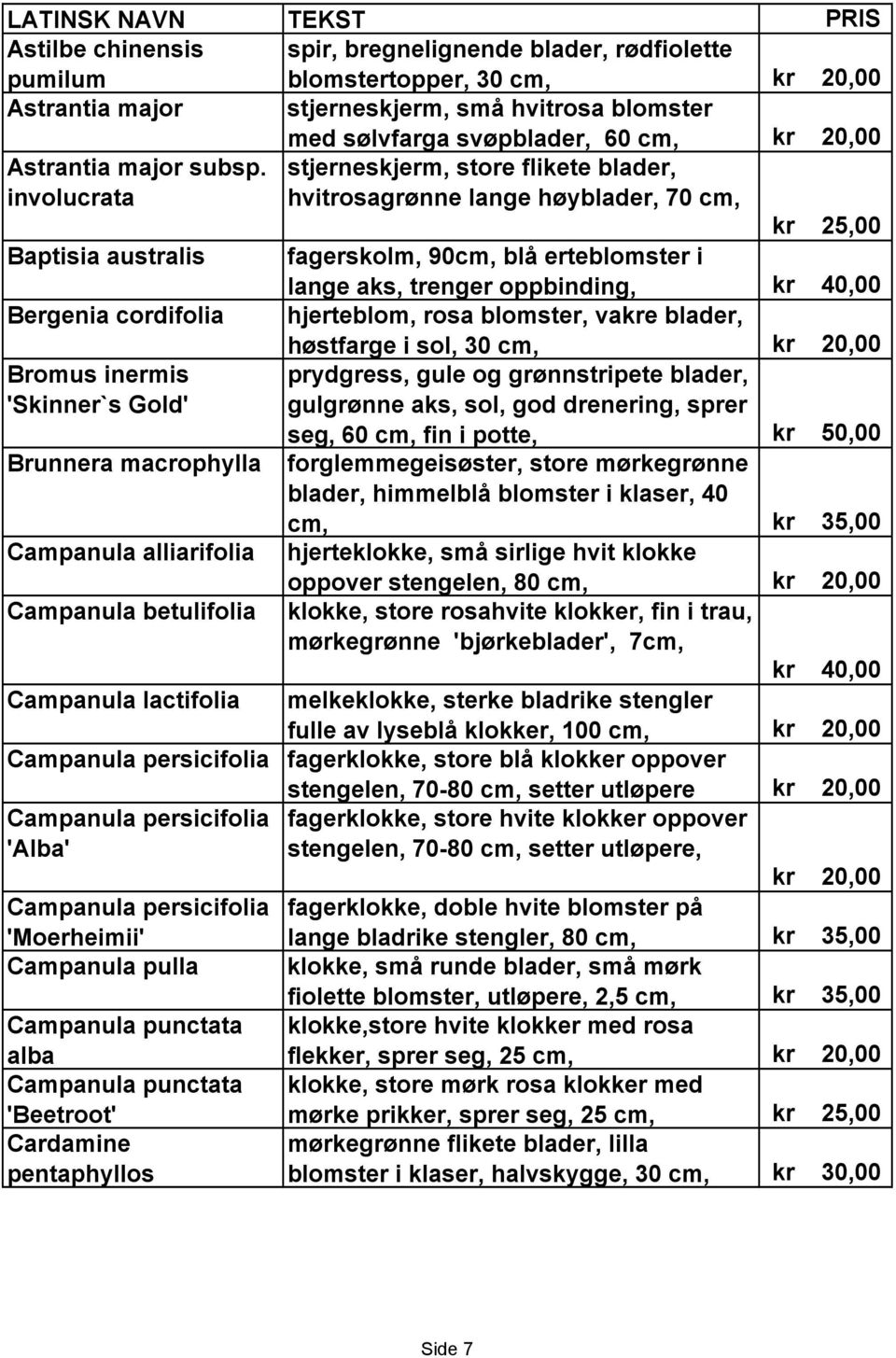 involucrata stjerneskjerm, store flikete blader, hvitrosagrønne lange høyblader, 70 cm, 25,00 Baptisia australis fagerskolm, 90cm, blå erteblomster i lange aks, trenger oppbinding, 40,00 Bergenia