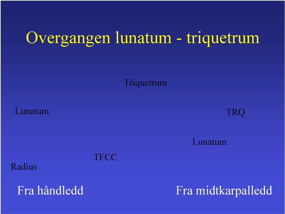 Lunatum TRQ Radius Fra