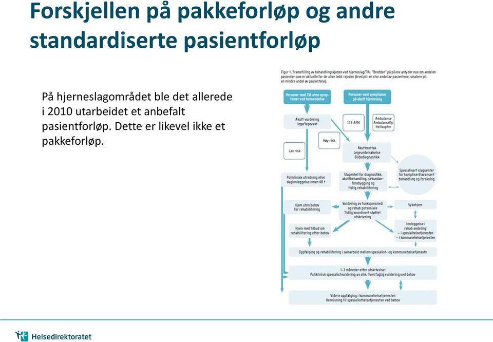 hjerneslagområdet ble det allerede i 2010