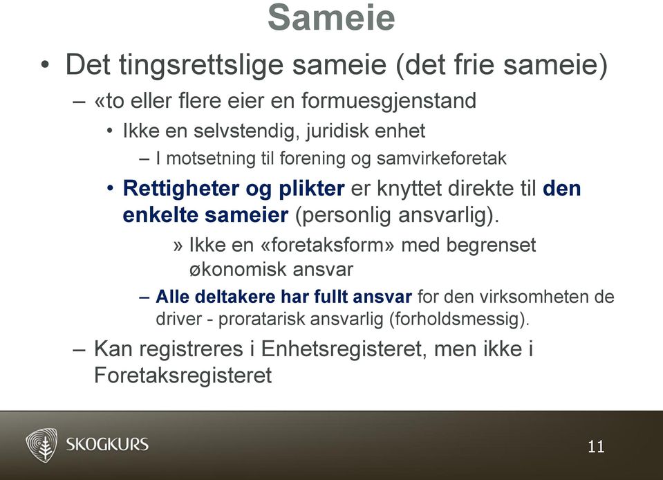 (personlig ansvarlig).