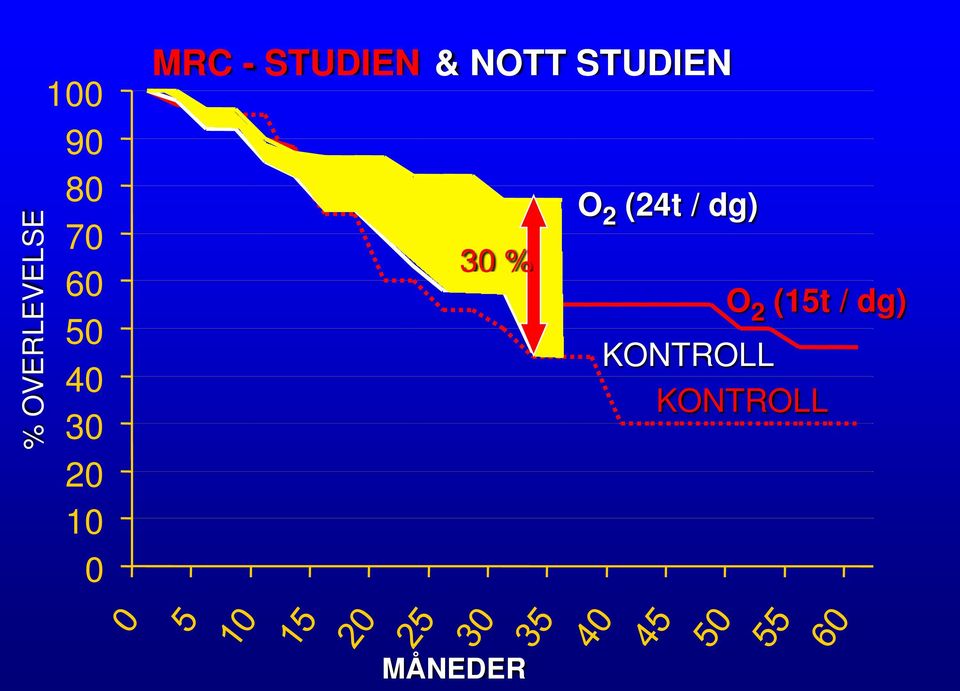 NOTT STUDIEN O 2 (24t / dg) 30 %