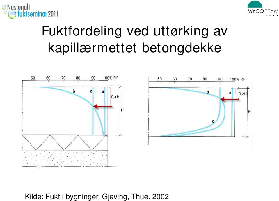 kapillærmettet