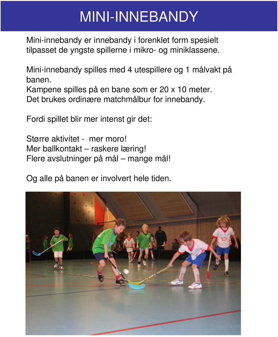 Kampene spilles på en bane som er 20 x 10 meter. Det brukes ordinære MINI-INNEBANDY matchmålbur for innebandy.