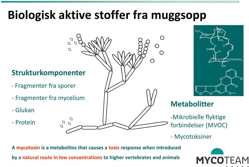 -Mikrobielle flyktige forbindelser (MVOC) O - Mycotoksiner A mycotoxin is a metabolites that causes