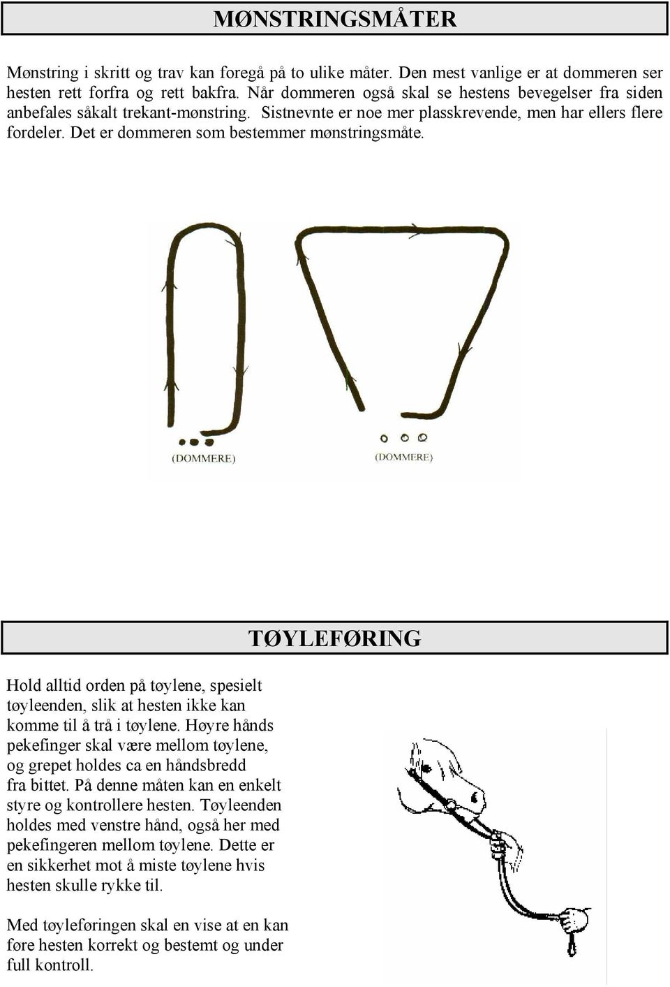 Det er dommeren som bestemmer mønstringsmåte. Hold alltid orden på tøylene, spesielt tøyleenden, slik at hesten ikke kan komme til å trå i tøylene.