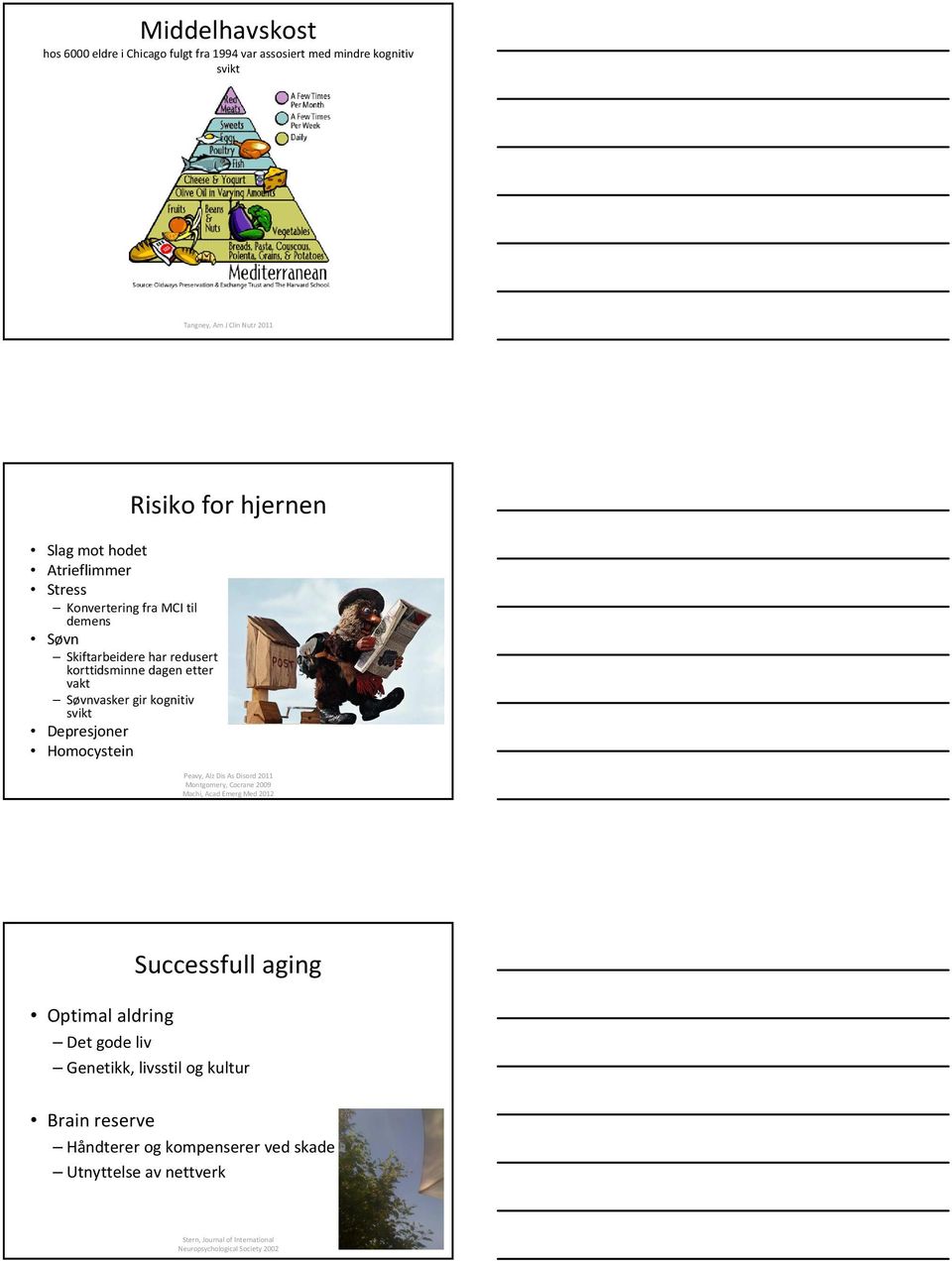 Homocystein Risiko for hjernen Peavy, Alz Dis As Disord 2011 Montgomery, Cocrane 2009 Machi, Acad Emerg Med 2012 Optimal aldring Successfull aging Det