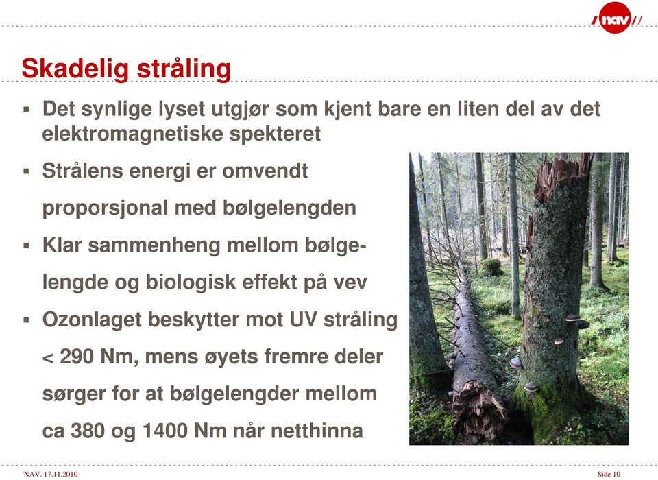 bølgelengde og biologisk effekt på vev Ozonlaget beskytter mot UV stråling < 290 Nm, mens øyets