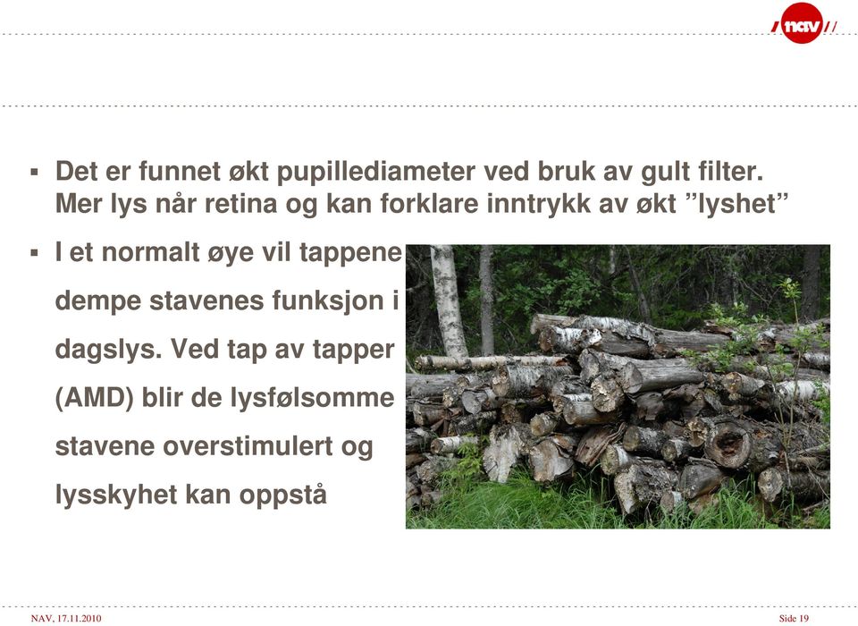 øye vil tappene dempe stavenes funksjon i dagslys.