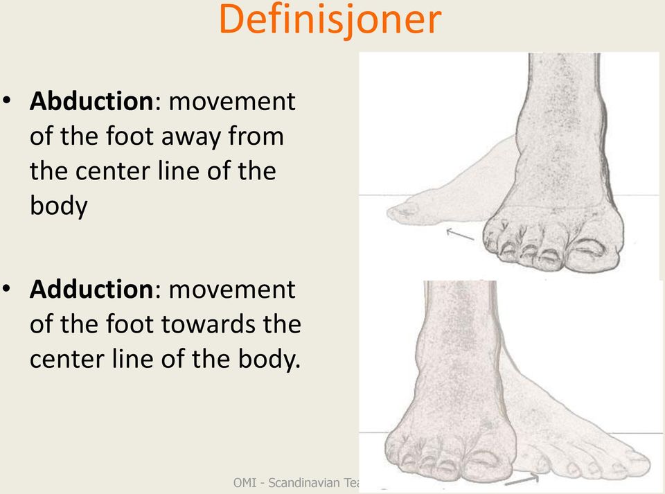 Adduction: movement of the foot towards the