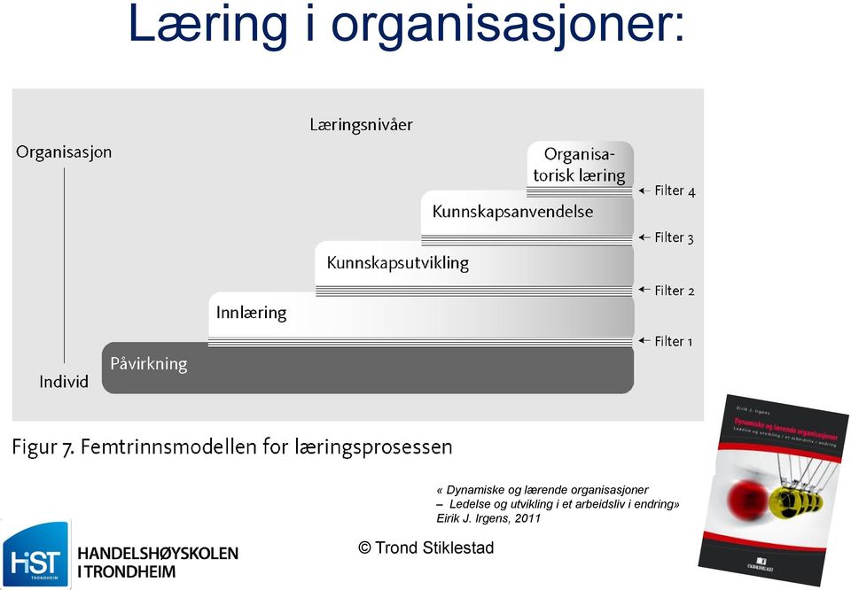 organisasjoner Ledelse og