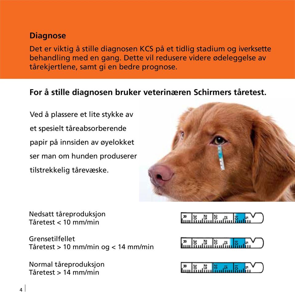 For å stille diagnosen bruker bruker veterinæren Schirmers Schirmers tåretest.