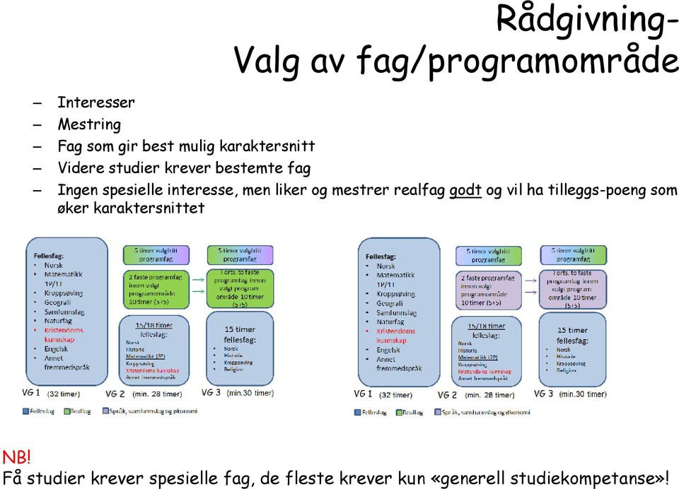 liker og mestrer realfag godt og vil ha tilleggs-poeng som øker karaktersnittet