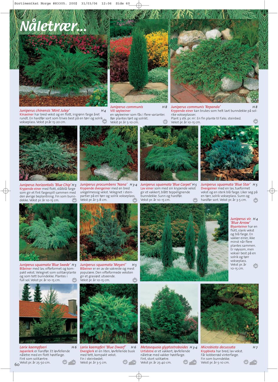 Juniperus communis Vill søyleeiner en søyleeiner som fås i flere varianter. Bør plantes tørt og solrikt. Vekst pr. år 5-10 cm.