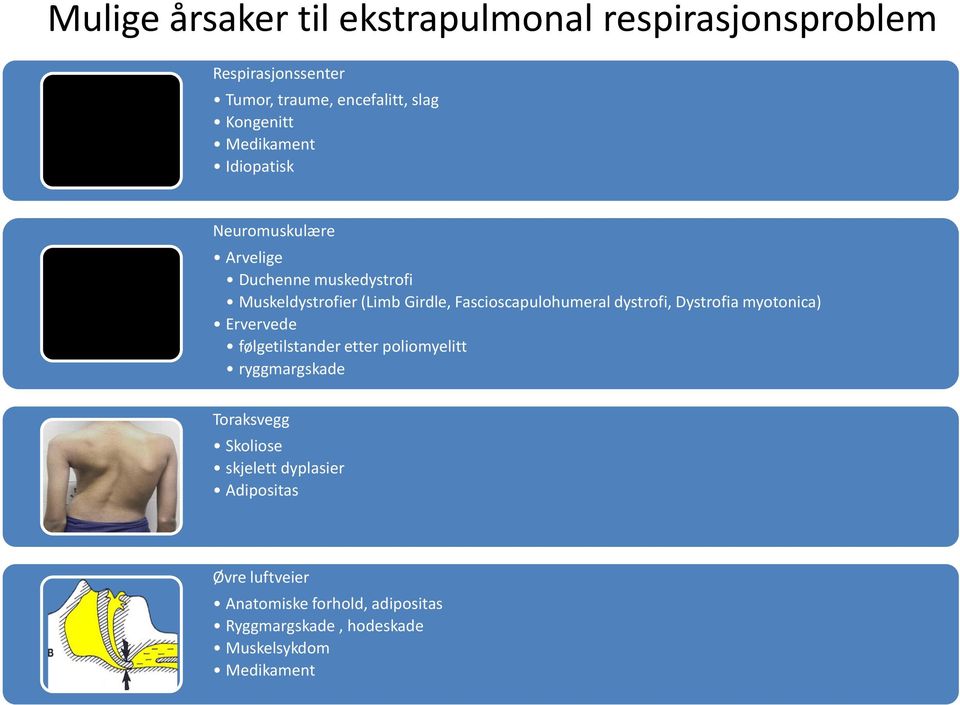 Fascioscapulohumeral dystrofi, Dystrofia myotonica) Ervervede følgetilstander etter poliomyelitt ryggmargskade