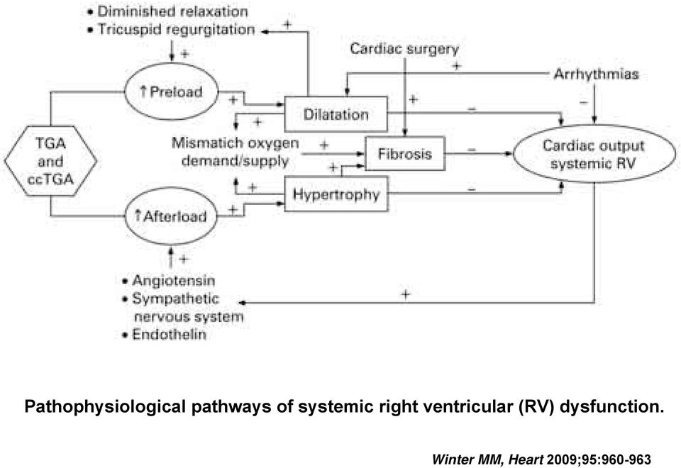 ventricular (RV)