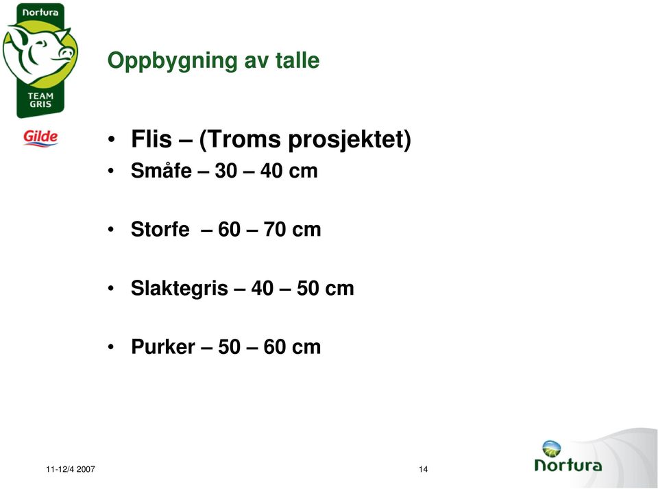 Storfe 60 70 cm Slaktegris 40