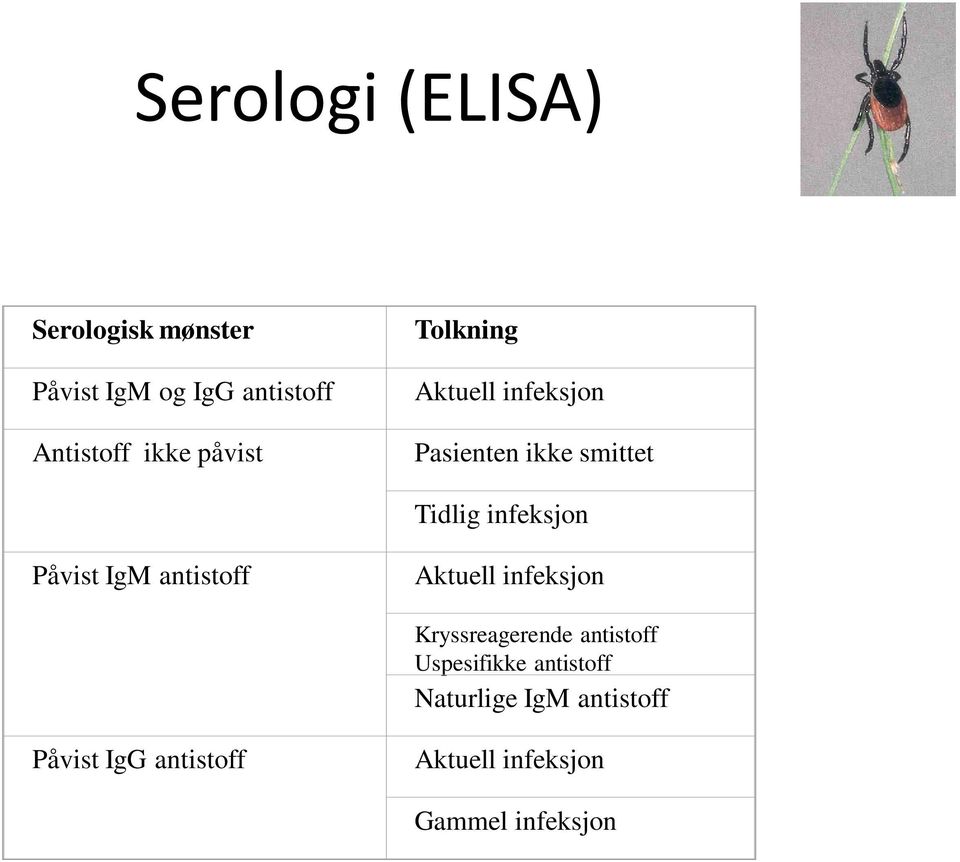 Påvist IgM antistoff Aktuell infeksjon Kryssreagerende antistoff Uspesifikke