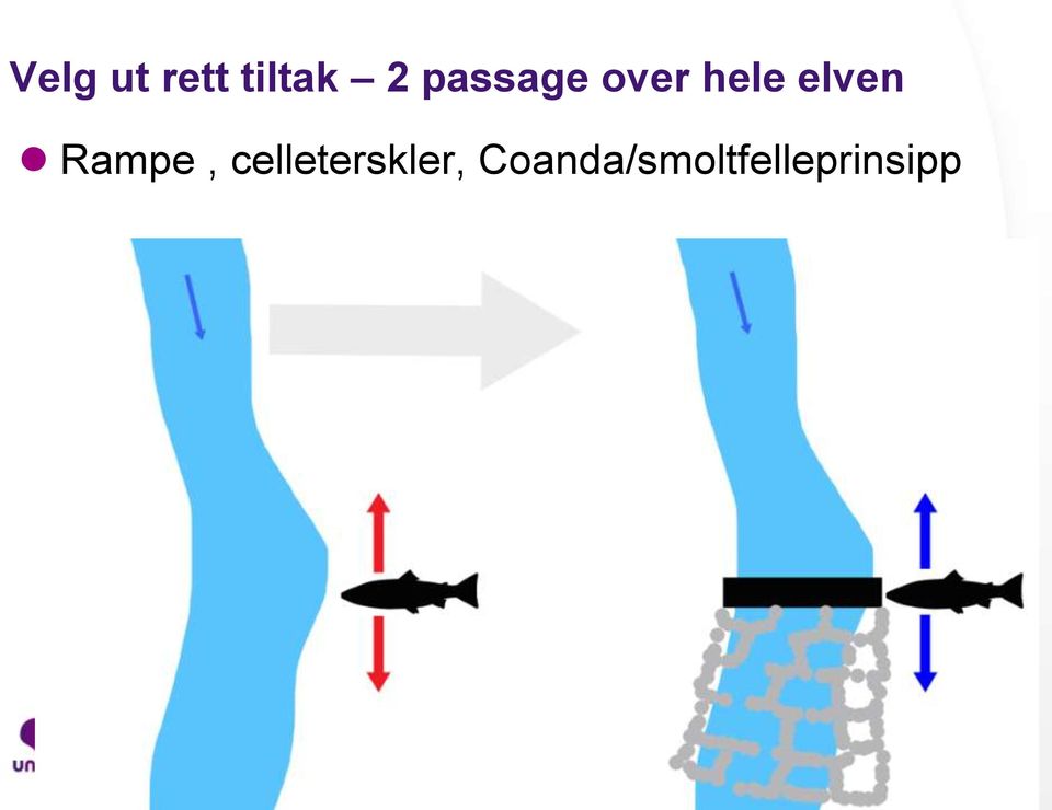 Rampe, celleterskler,