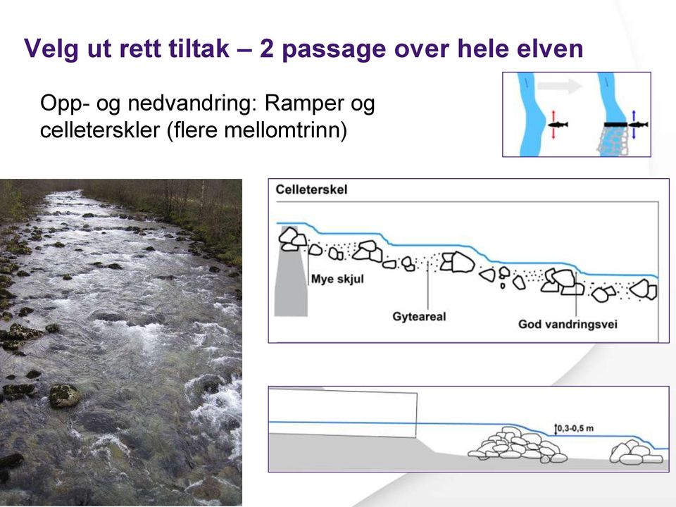 Opp- og nedvandring: Ramper