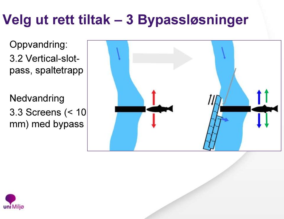 2 Vertical-slotpass, spaltetrapp