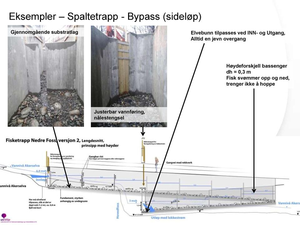 jevn overgang Høydeforskjell bassenger dh = 0,3 m Fisk