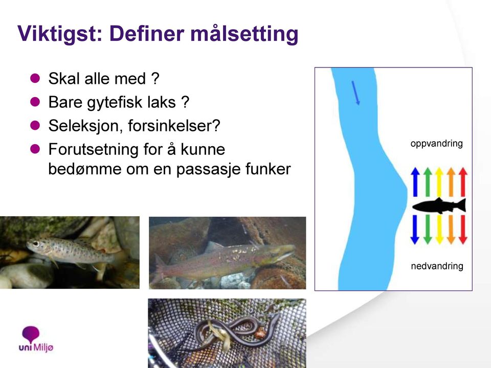 Seleksjon, forsinkelser?