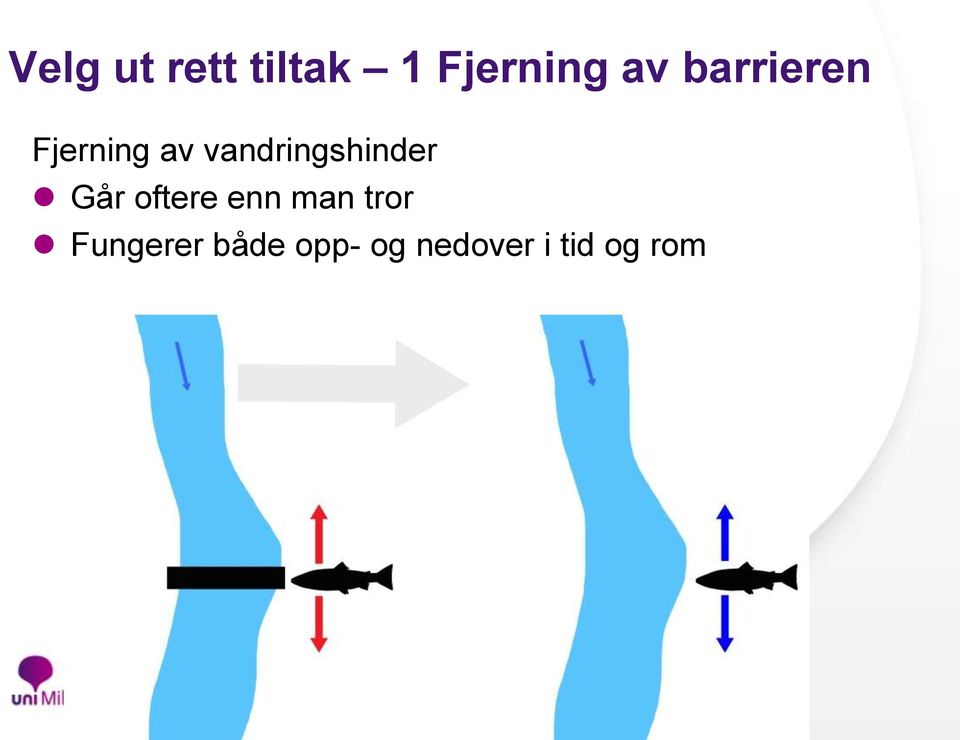 vandringshinder Går oftere enn man