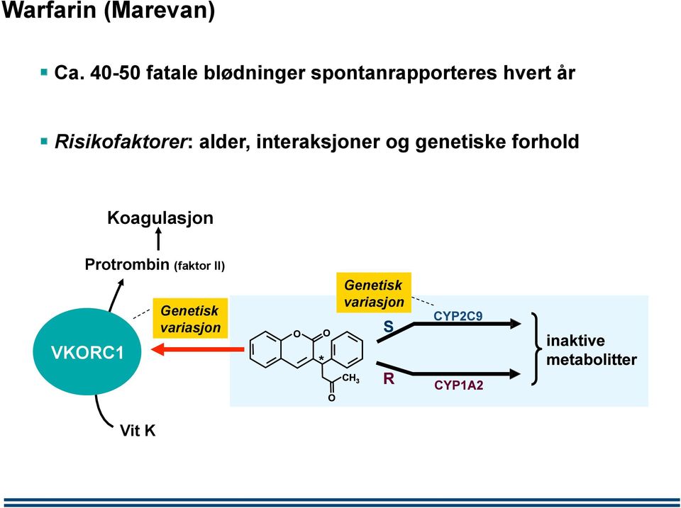 Risikofaktorer: alder, interaksjoner og genetiske