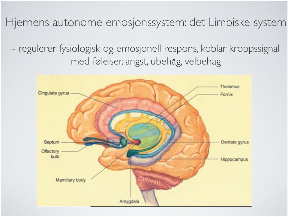 og emosjonell respons, koblar