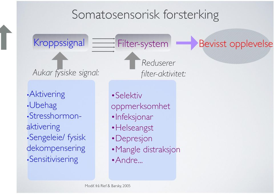 Filter-system Reduserer filter-aktivitet: Selektiv oppmerksomhet Infeksjonar