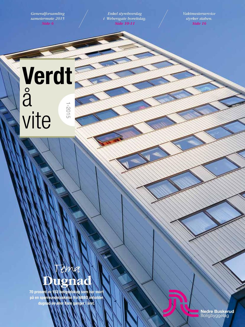 Side 16 Verdt å vite 1-2015 Tema Dugnad 70 prosent av 153 boligselskap