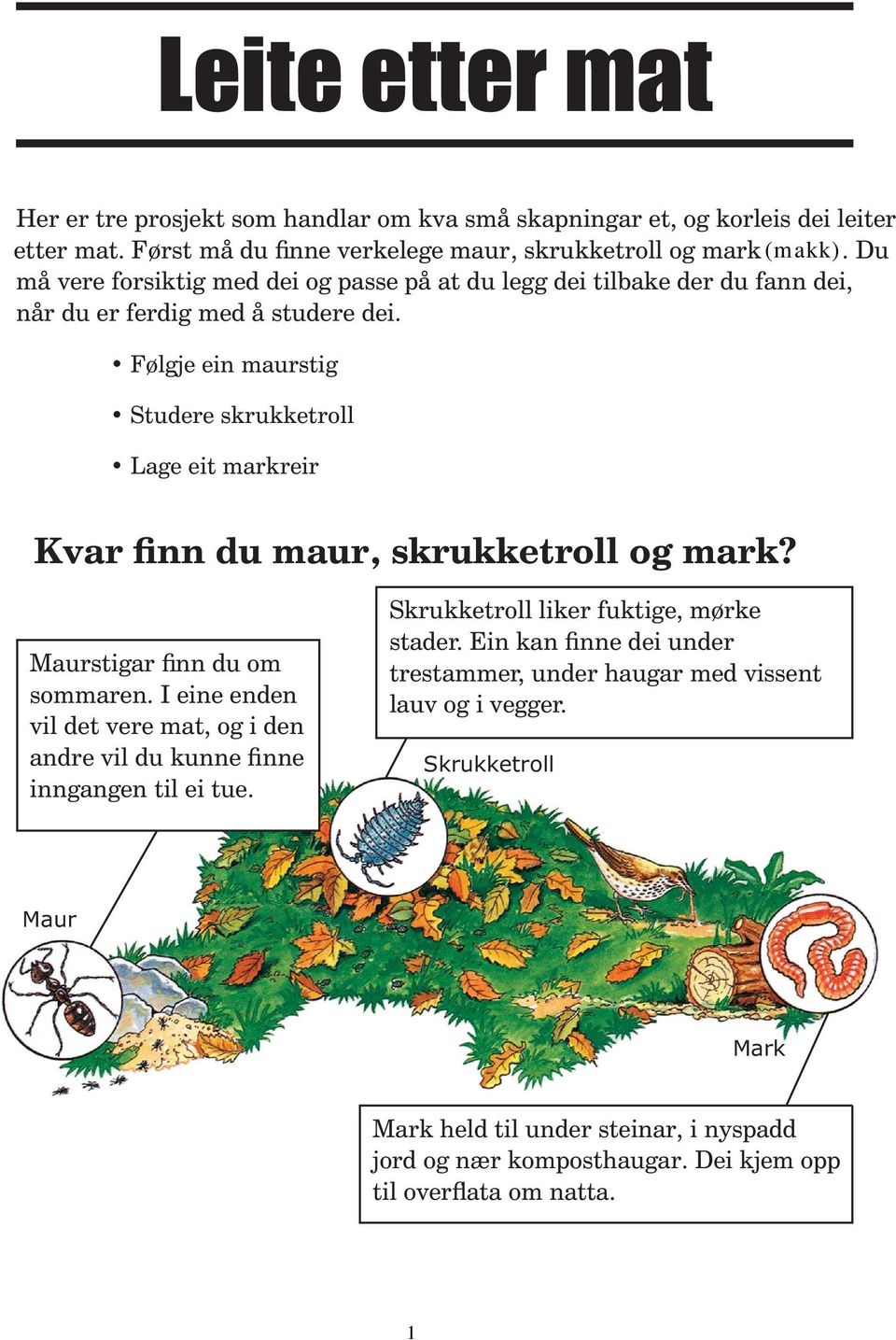 Følgje ein maurstig Studere skrukketroll Lage eit markreir Kvar finn du maur, skrukketroll og mark? Maurstigar finn du om sommaren.