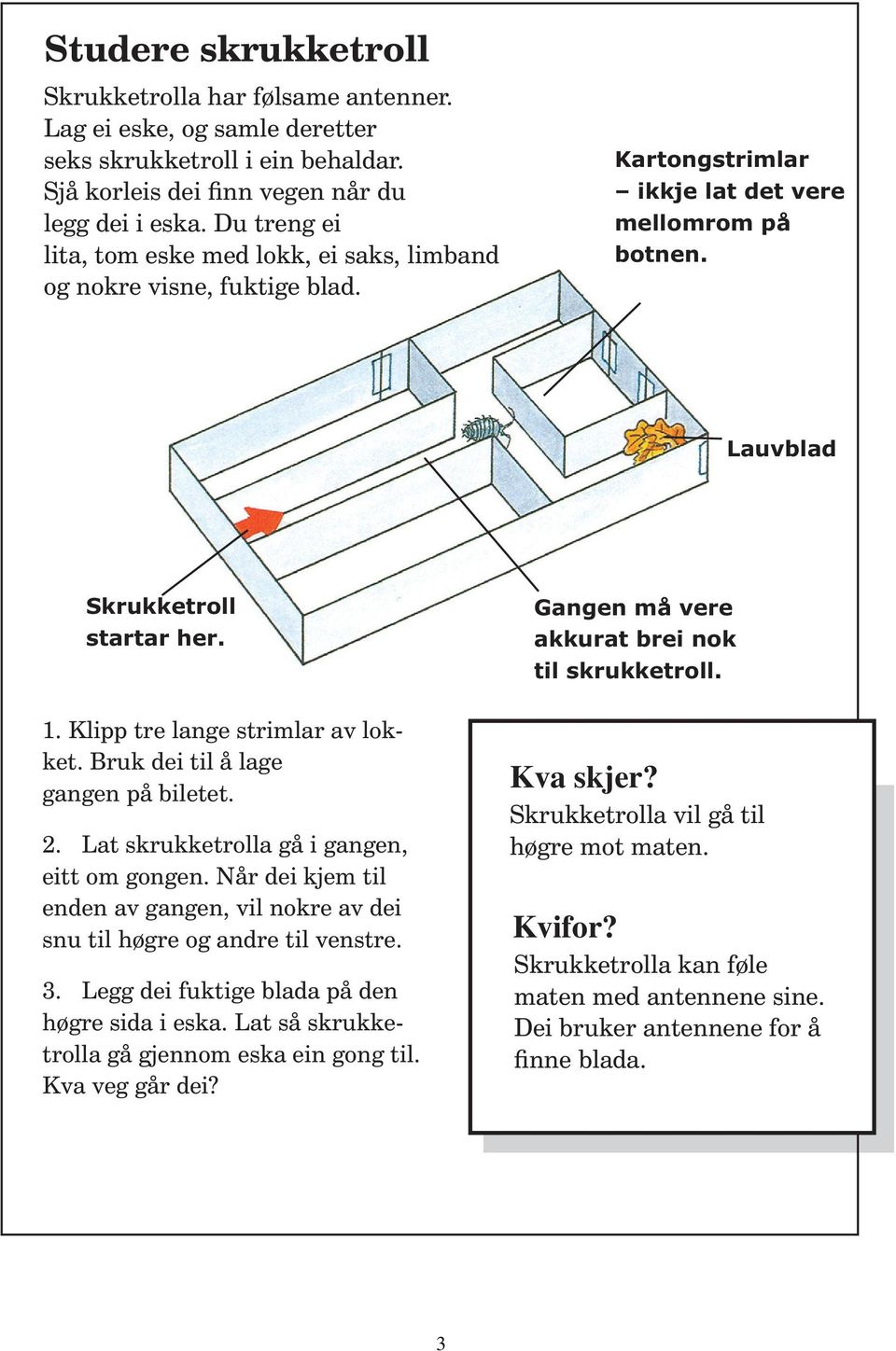 Gangen må vere akkurat brei nok til skrukketroll. 1. Klipp tre lange strimlar av lokket. ruk dei til å lage gangen på biletet. 2. Lat skrukketrolla gå i gangen, eitt om gongen.